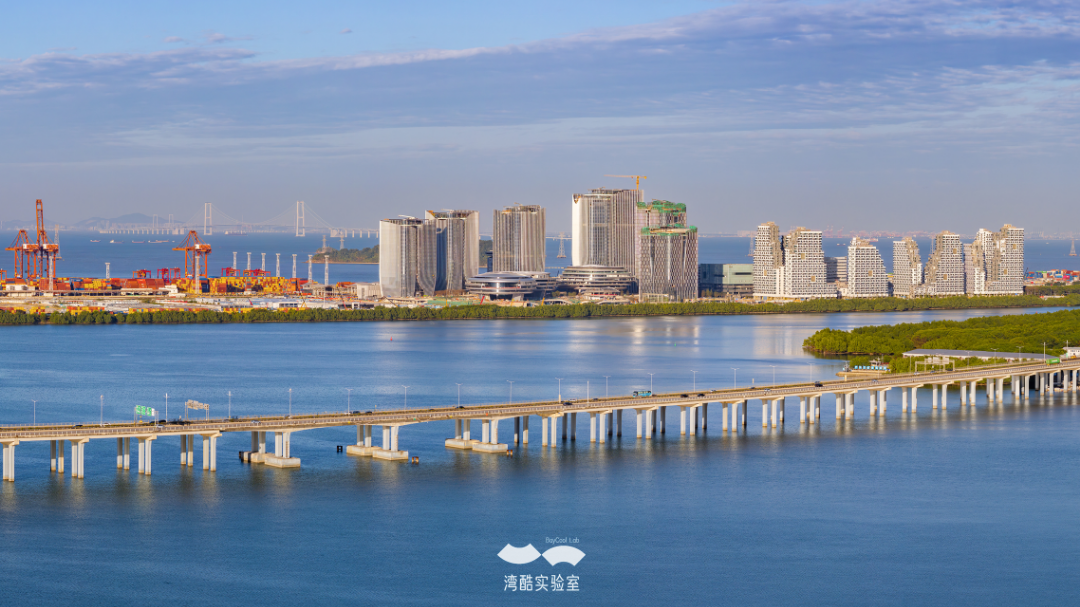 企鹅岛1 童艳龙.jpg